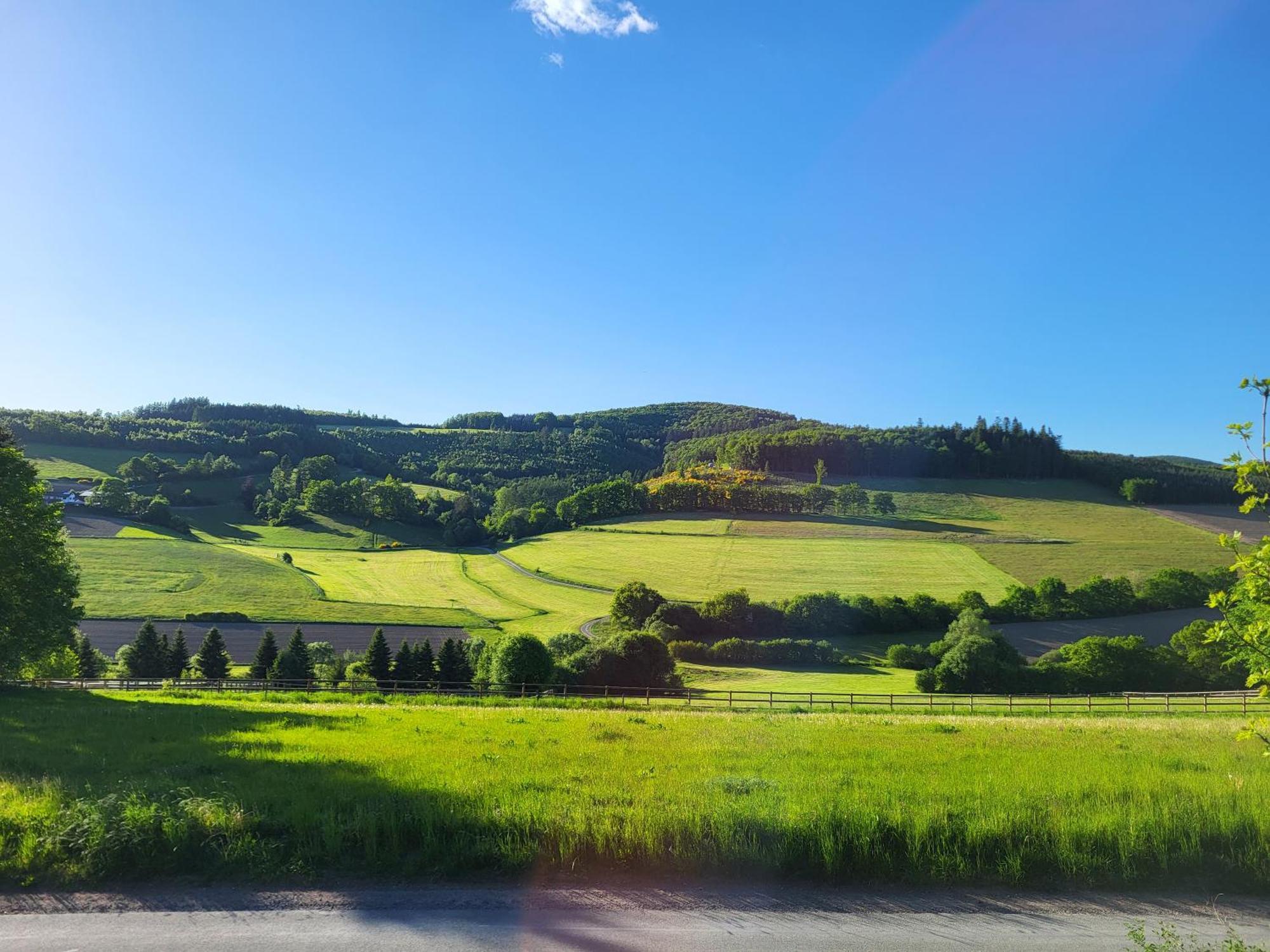 Lausebuche Im Sauerland Apartman Lennestadt Kültér fotó